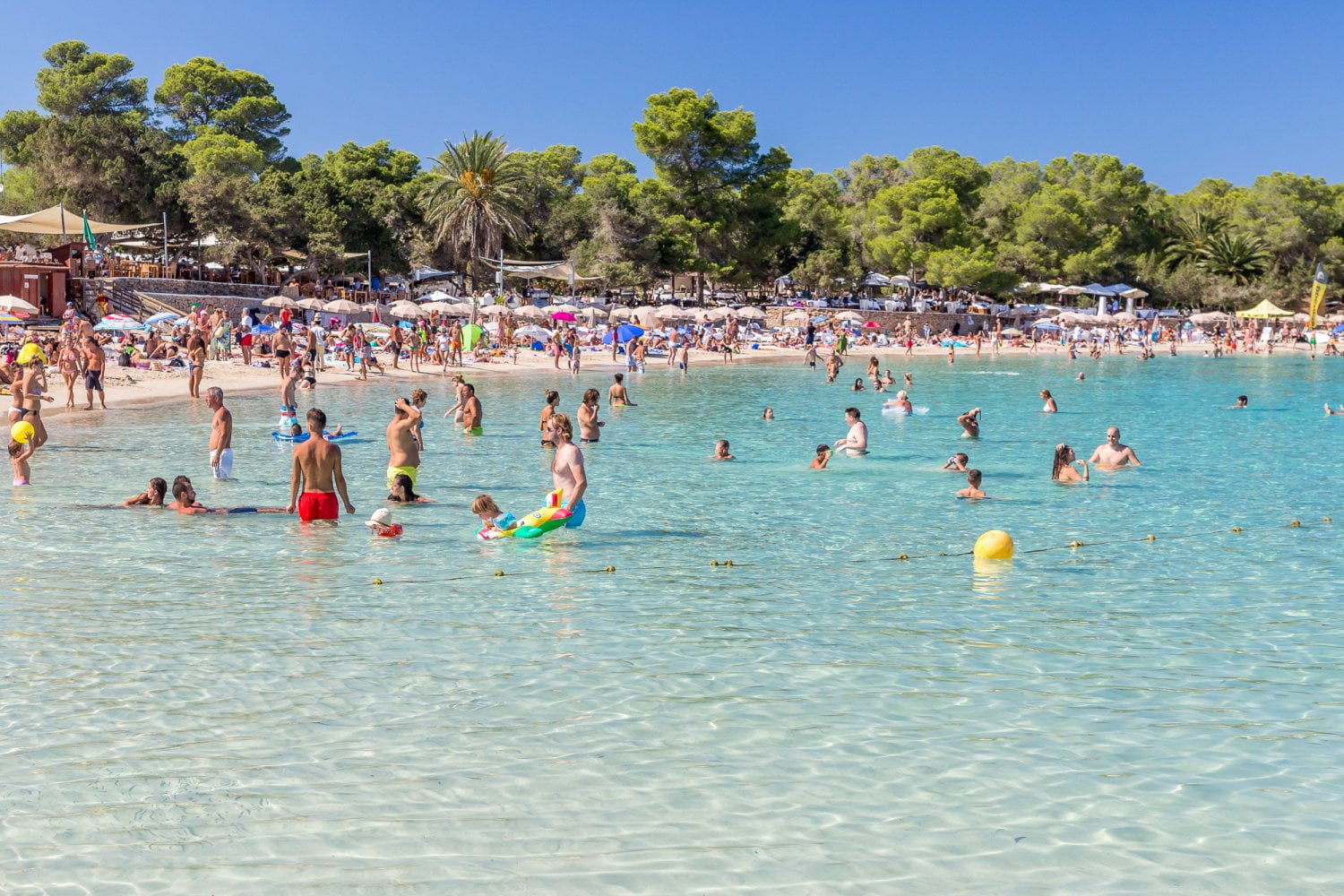 Cala Bassa en Ibiza